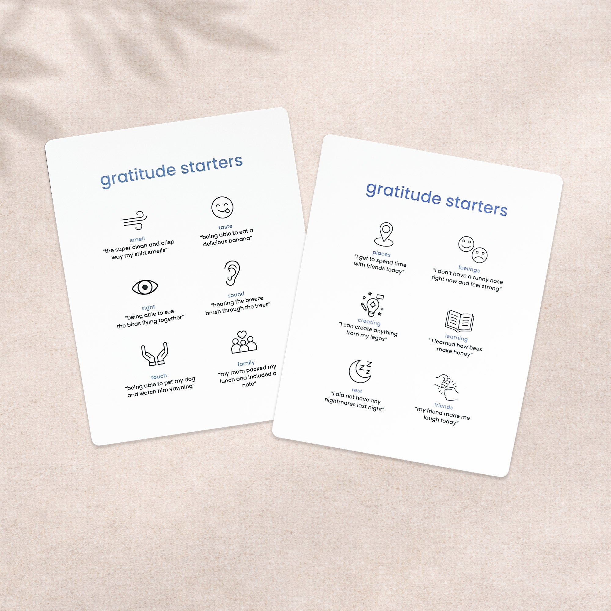 The Gratitude Practice™